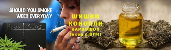 тгк Богородск