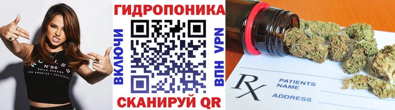 Конопля гибрид  mega ссылки  Ильский 